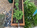 corten-vert-planter-example-v1.jpg