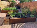 Corten-planter-450mm-tall-v3.jpg