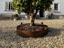 large-corten-ring-2.jpg